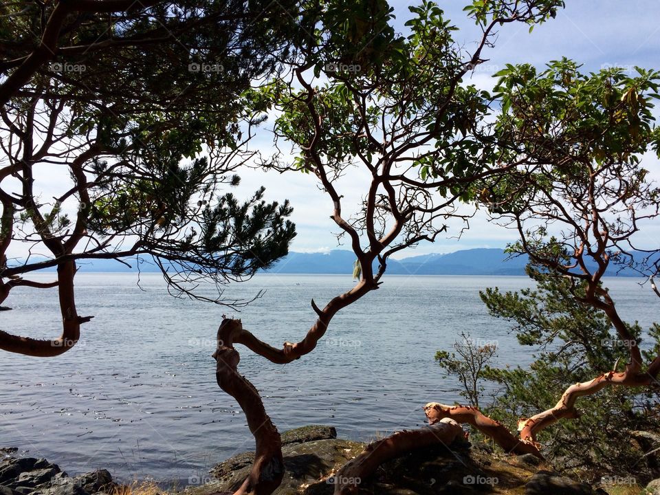 Serenity. East Coast trail