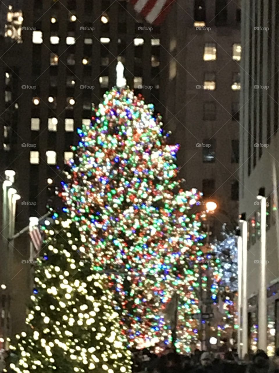 City, No Person, Skyscraper, Architecture, Building