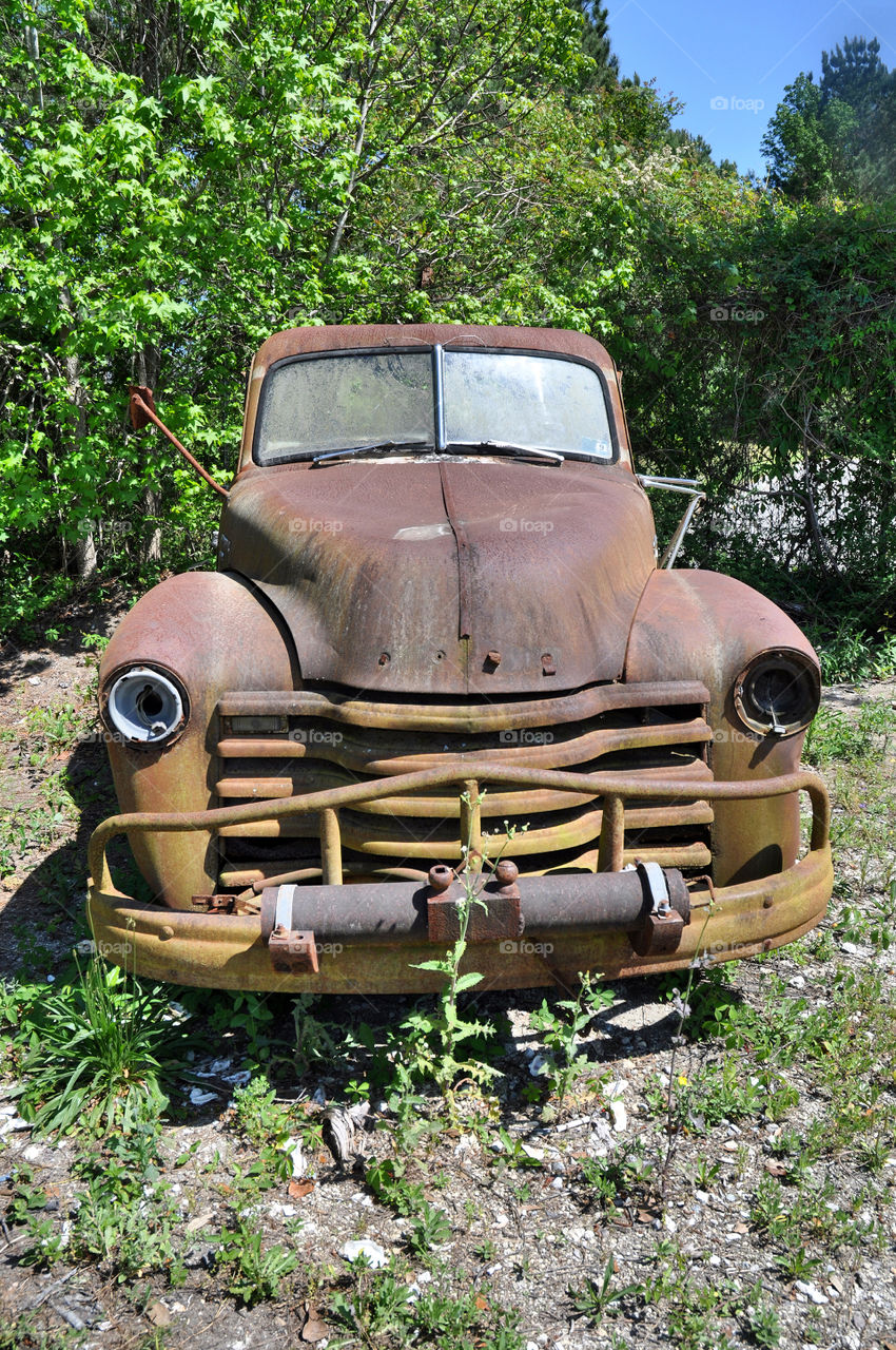 vehicle