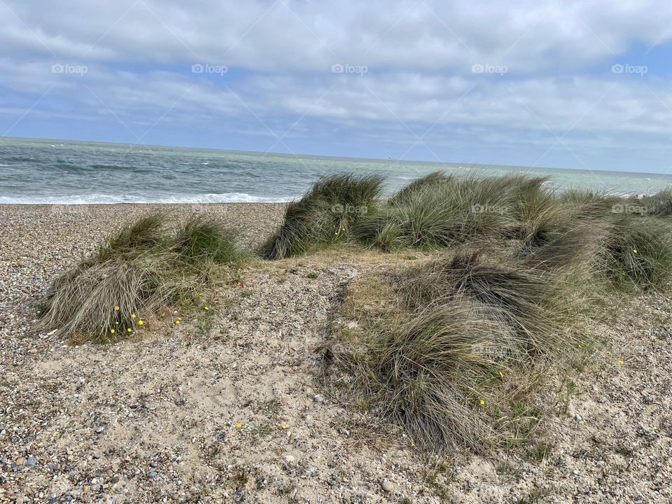 Suffolk beach … pebble beach and grassy dunes 