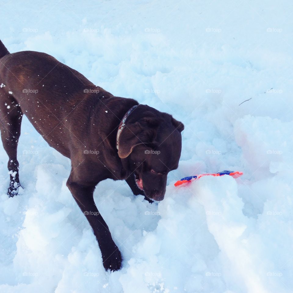 Winter play