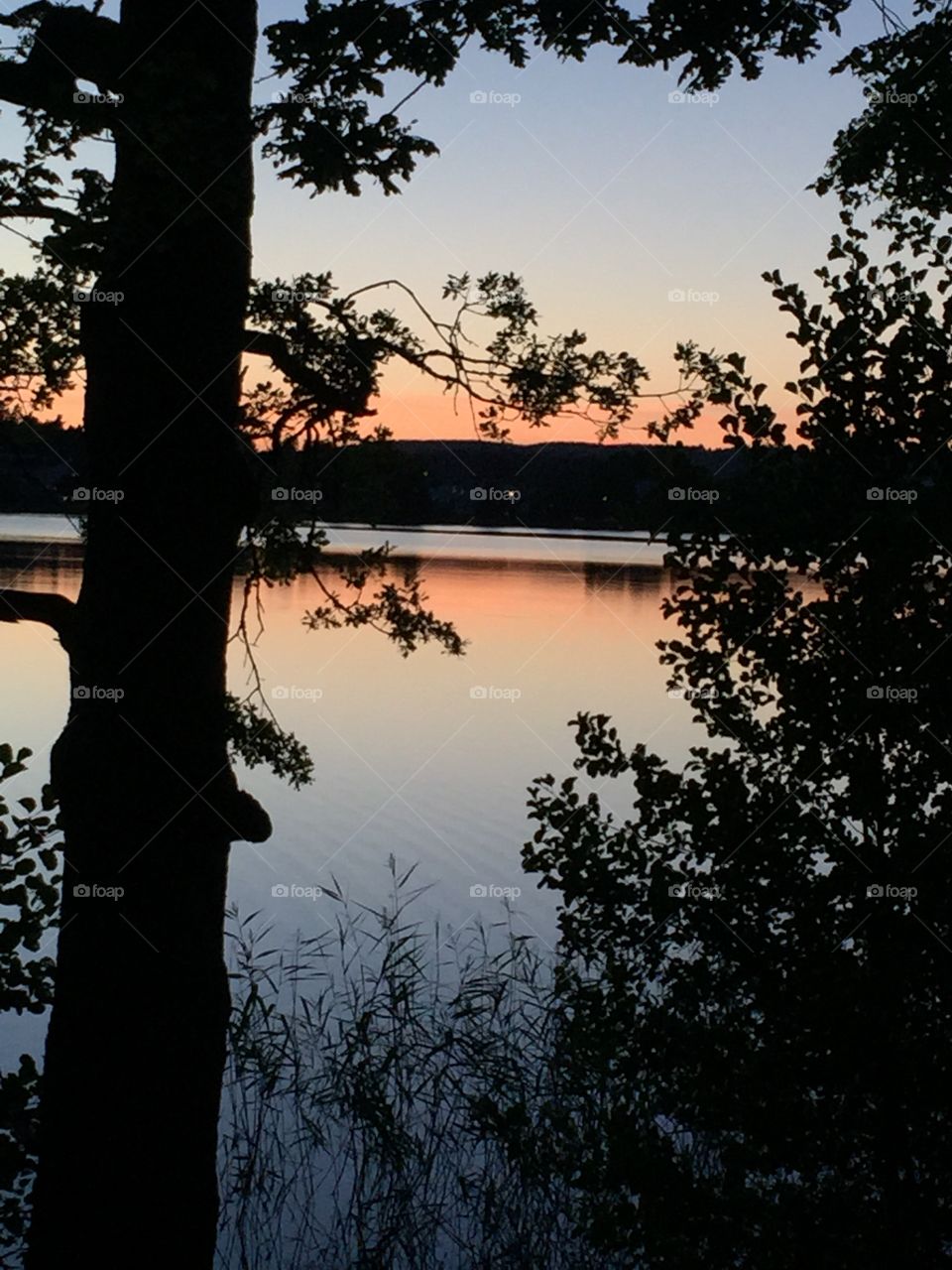 Solnedgång vid sjö. Sunset in Alingsås, Sweden
Solnedgång över Gerdsken Alongsås, Sverige
Underbar kvällspromenad