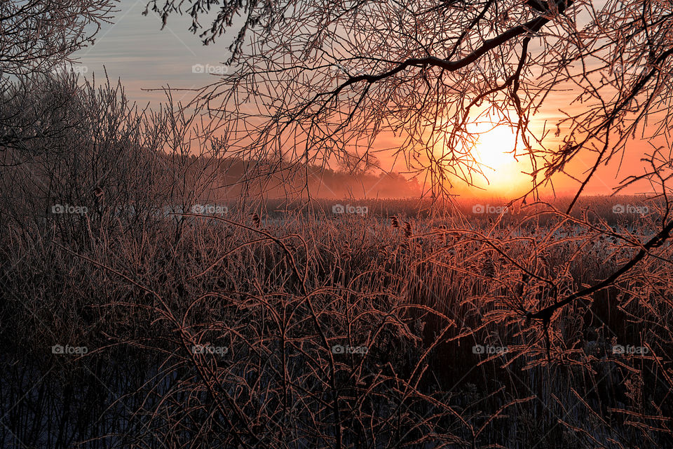 Winter morning sunlight landscape