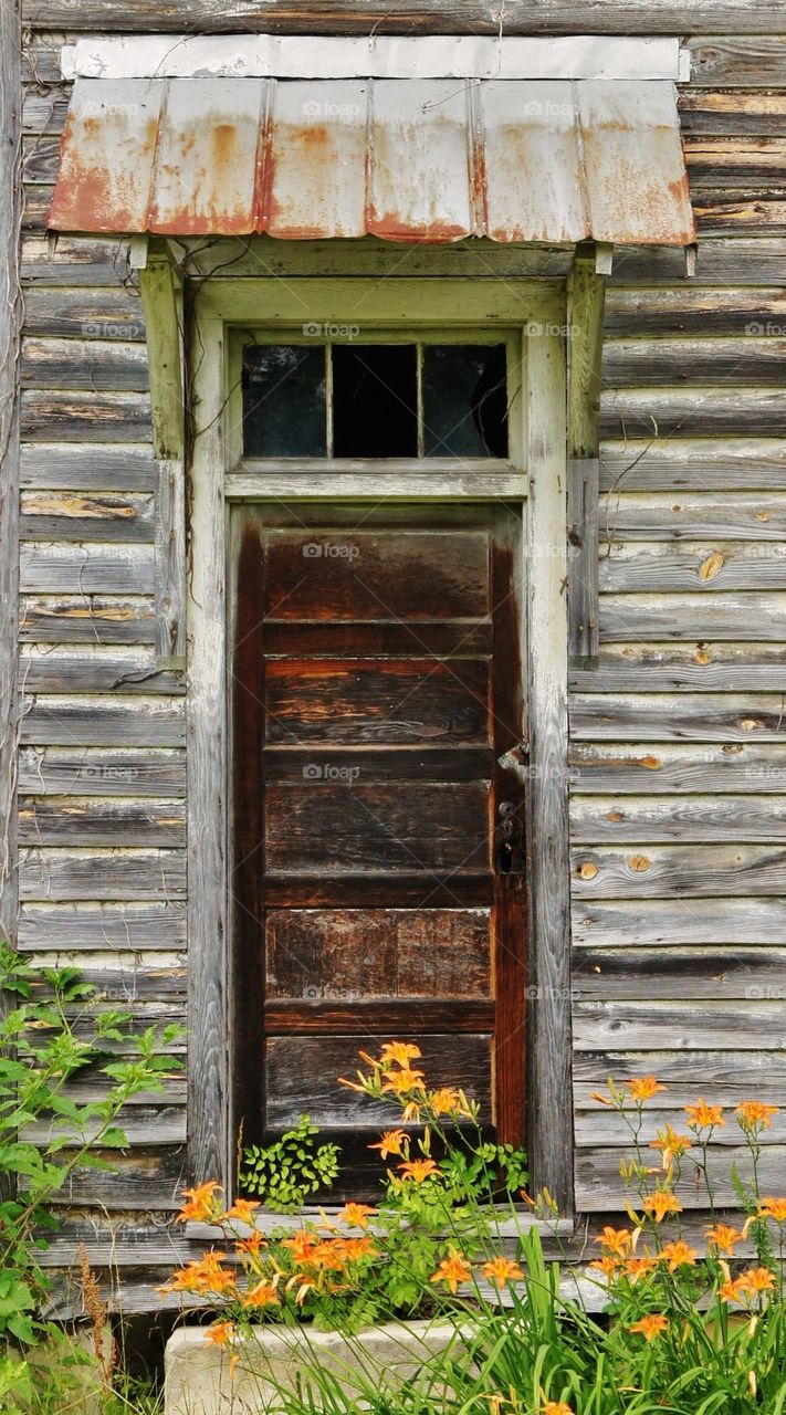 Rustic Beauty