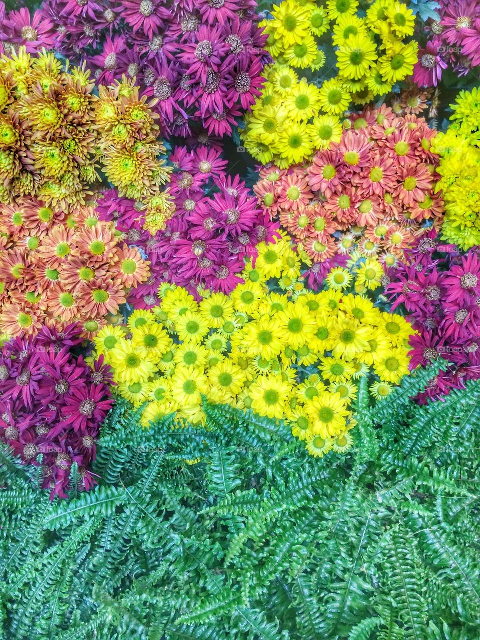 Fall Floral Display