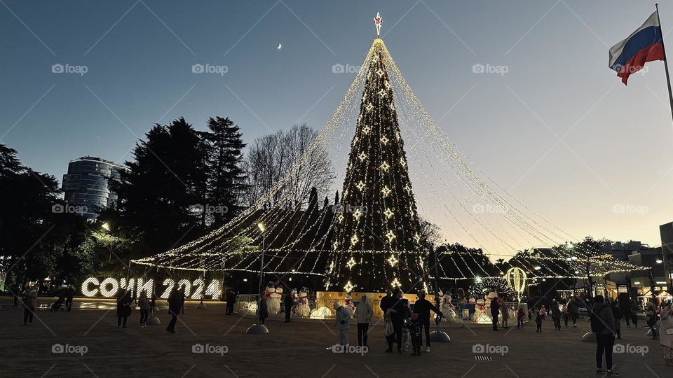 Ёлка в Сочи 🌲