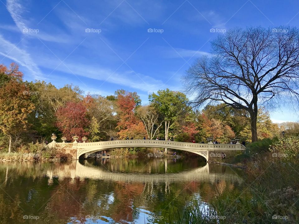 Bow bridge, Central Park, NYC