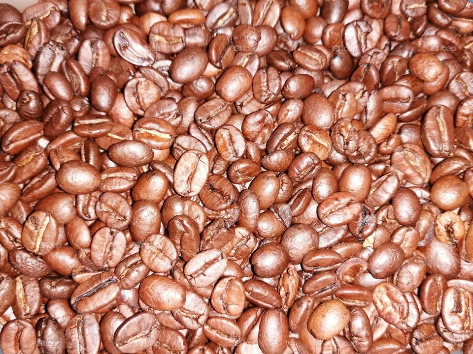 Only coffee during the break