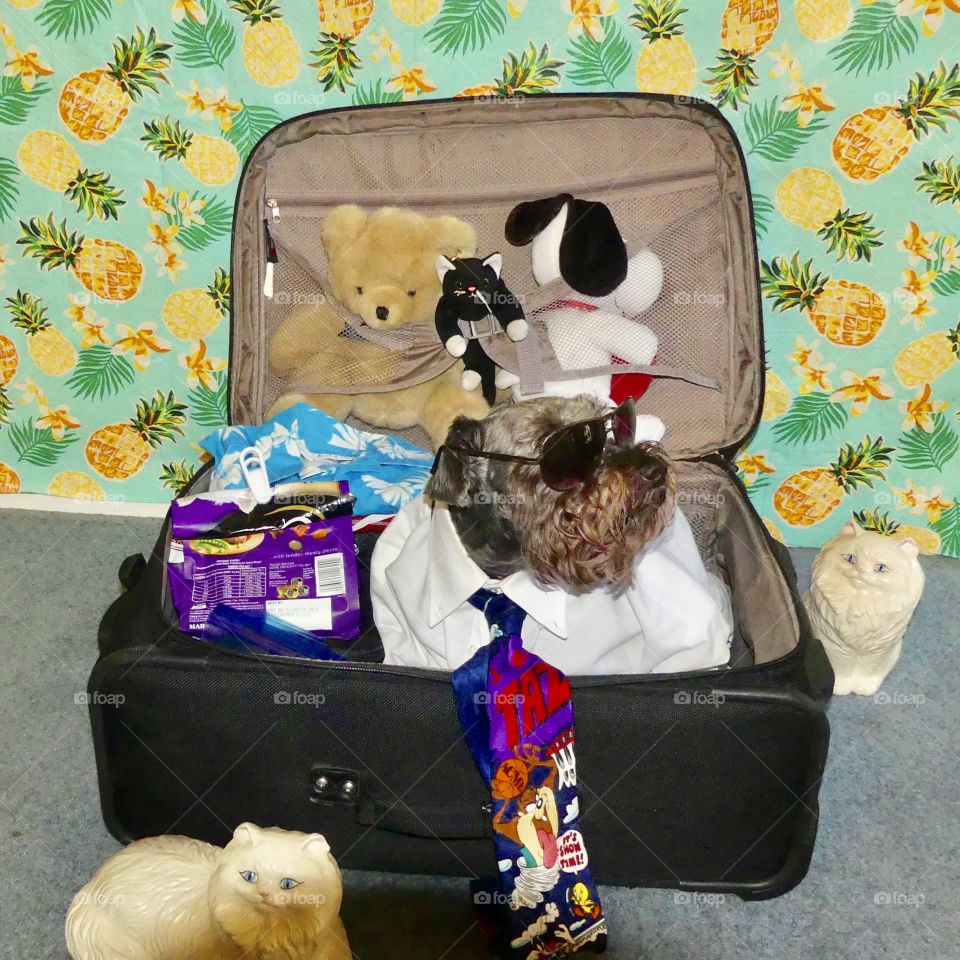 “Look at how cool I look” shades, tie, white shirt and a clean shave. I can get by the TSA agent as a human