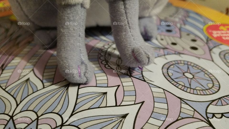 stuffed toy cat feet on coloring book