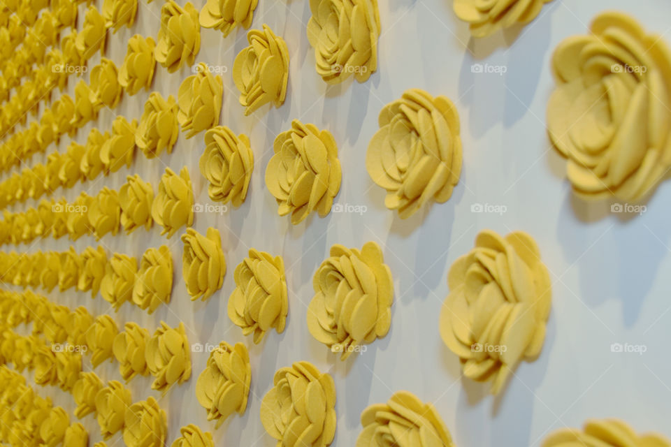Symmetry: multitude of yellow felt flowers