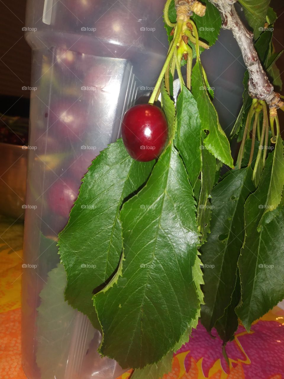 Picked Cherries