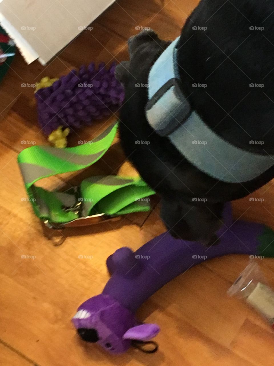 Kwanita my boxer and lab mix is checking out her Christmas gifts she has a new collar and toys