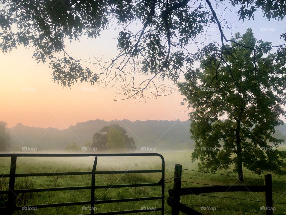 Early morning mist over farm pasture and gate
