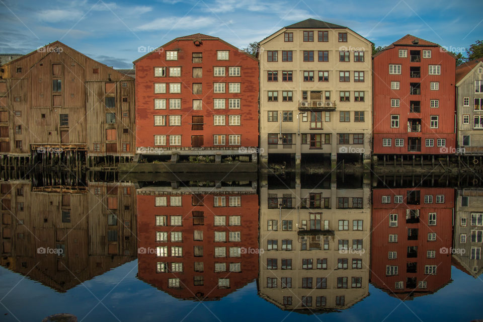 River reflections 