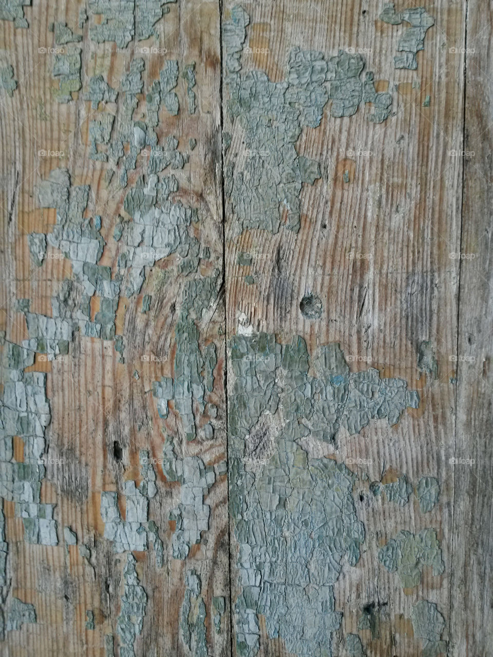 Old door texture