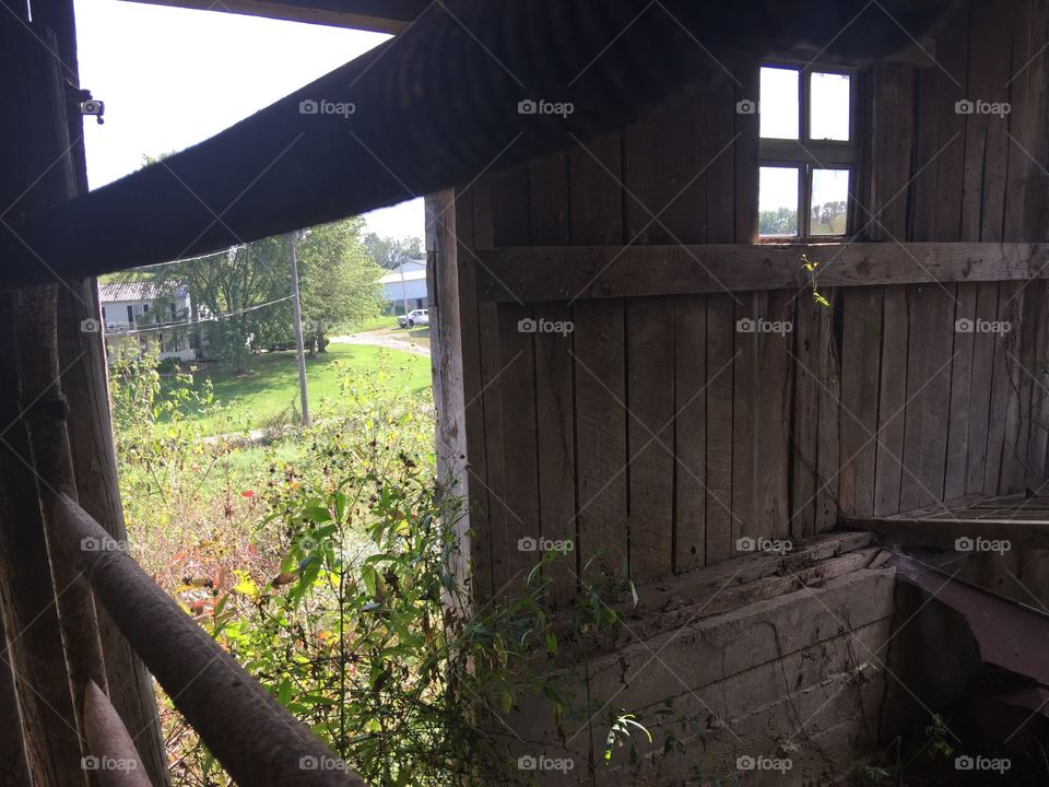 View from the old barn