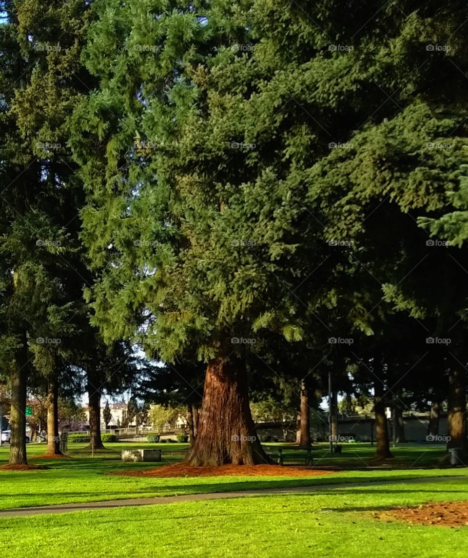 Marion Square Park (from my 2017 collection)