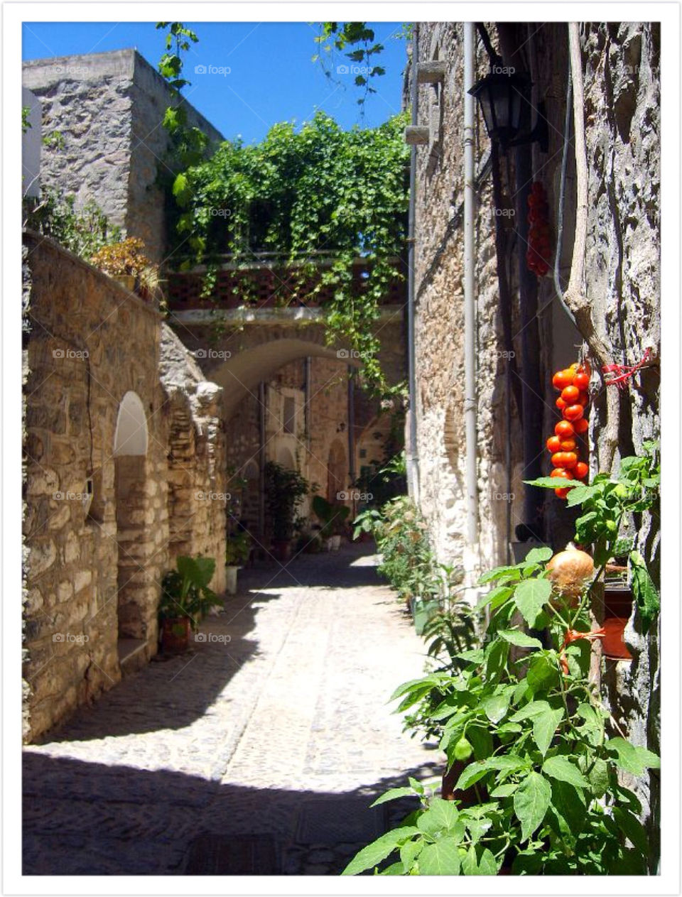 The beautiful village  of Mesta