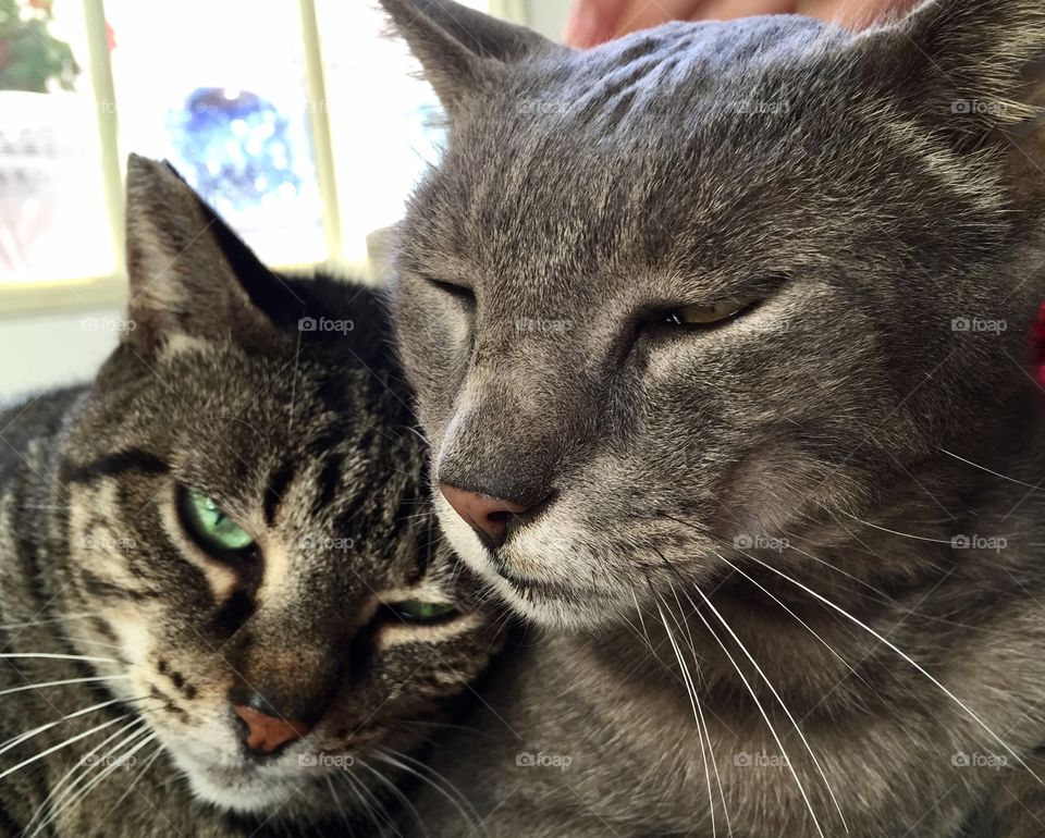 Love the ones that lean on you.