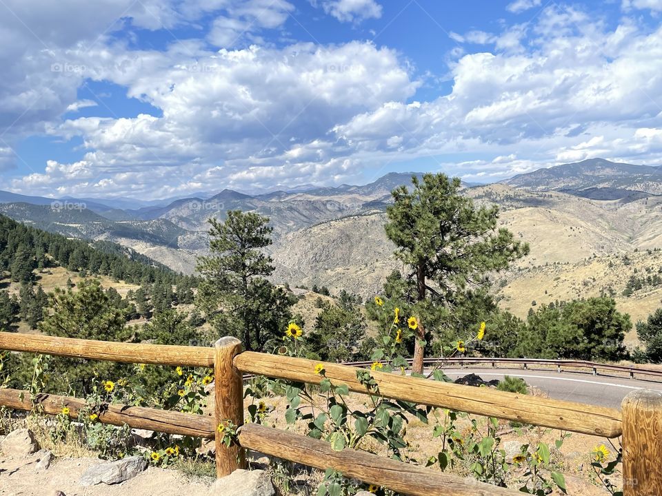 Mountains and Split Rail Fence