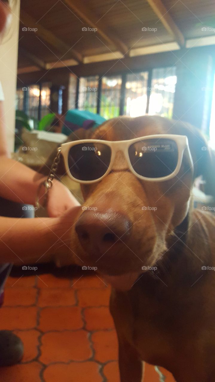 Pablo with sunglasses