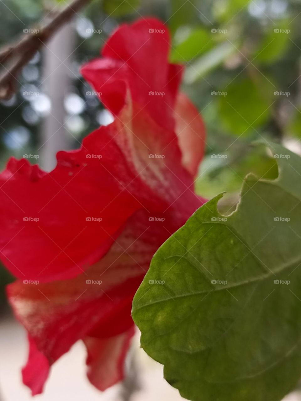 front and back both are beautiful✨✨✨