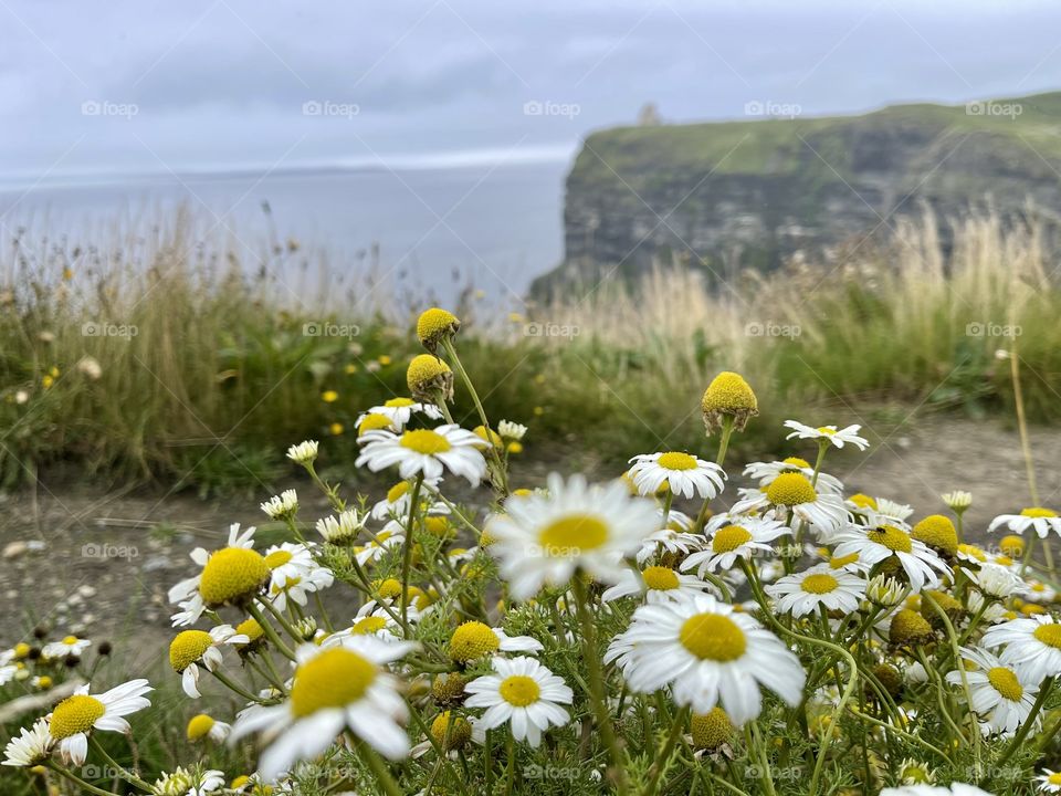 Cliffs of Moher-Ireland 