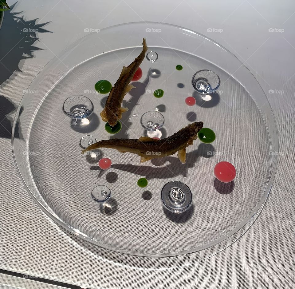 disk of fish art can eat