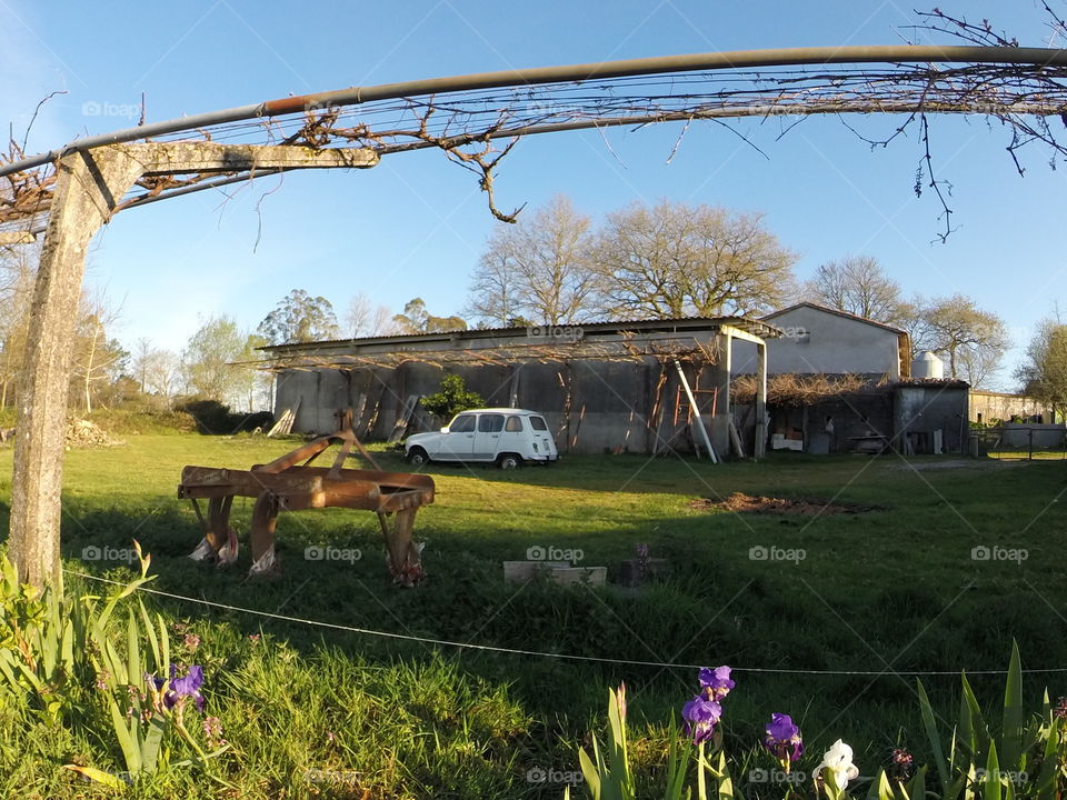 An old car on a farm. While walking the Camino de Santiago in Galicia, a sight of an antique car in the yard of a farm