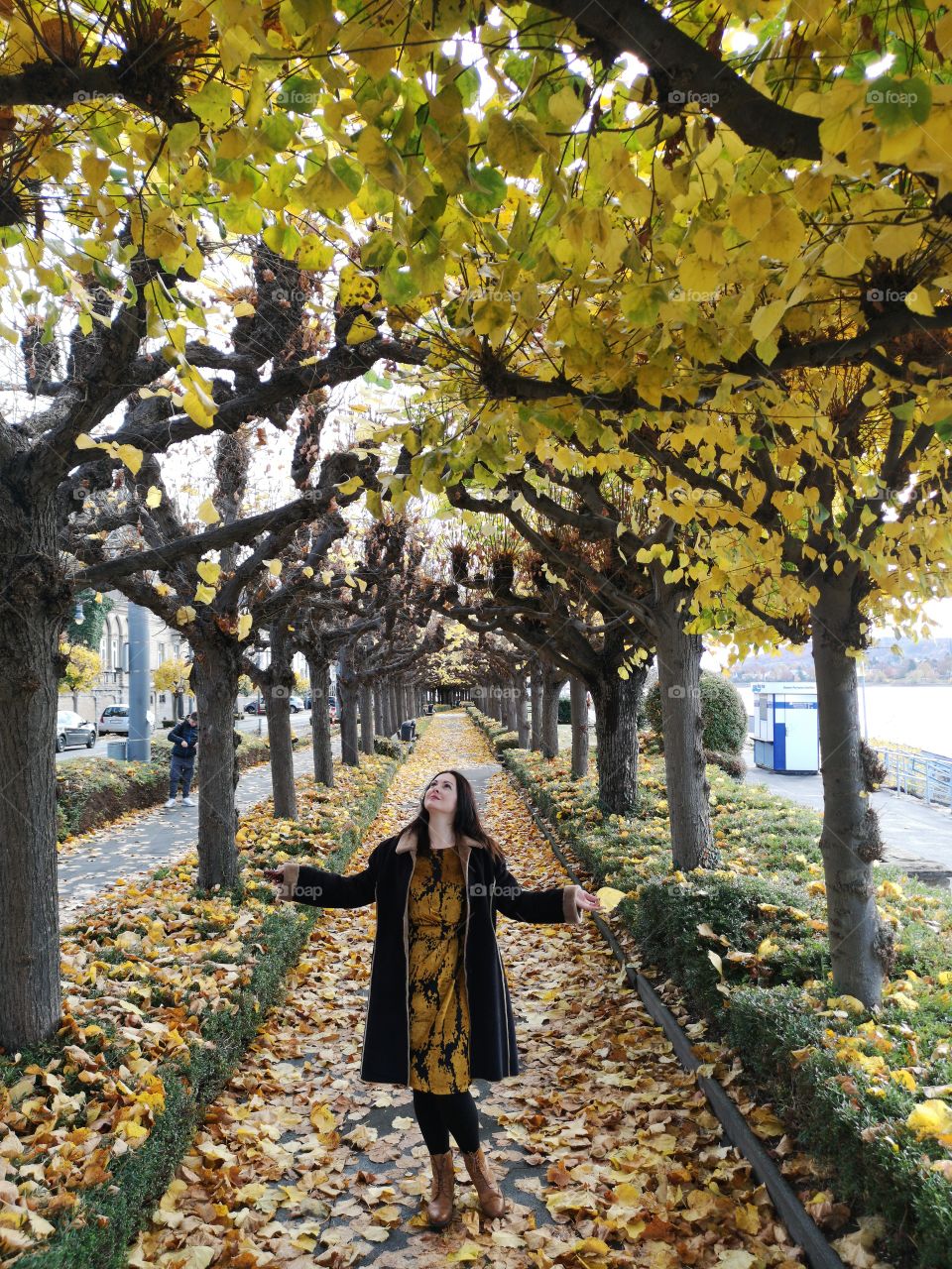 Autumn Park in Germany