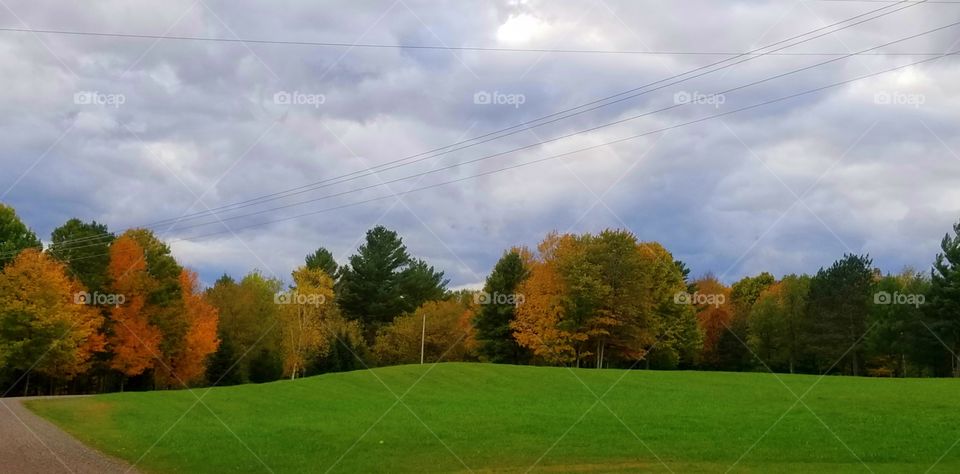 Wisconsin Landscape