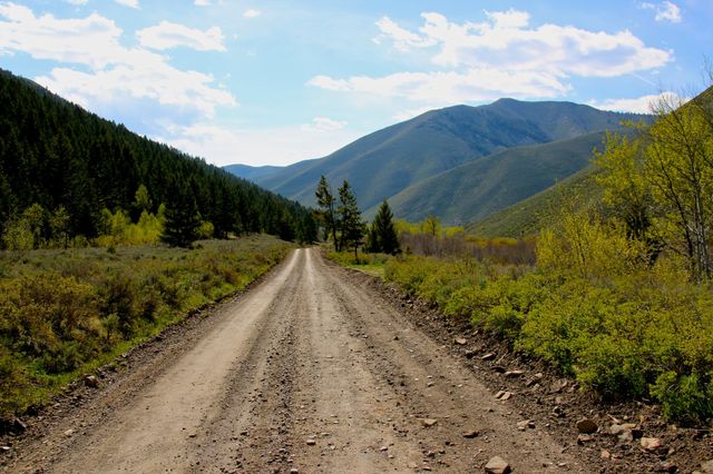 Road to mountains