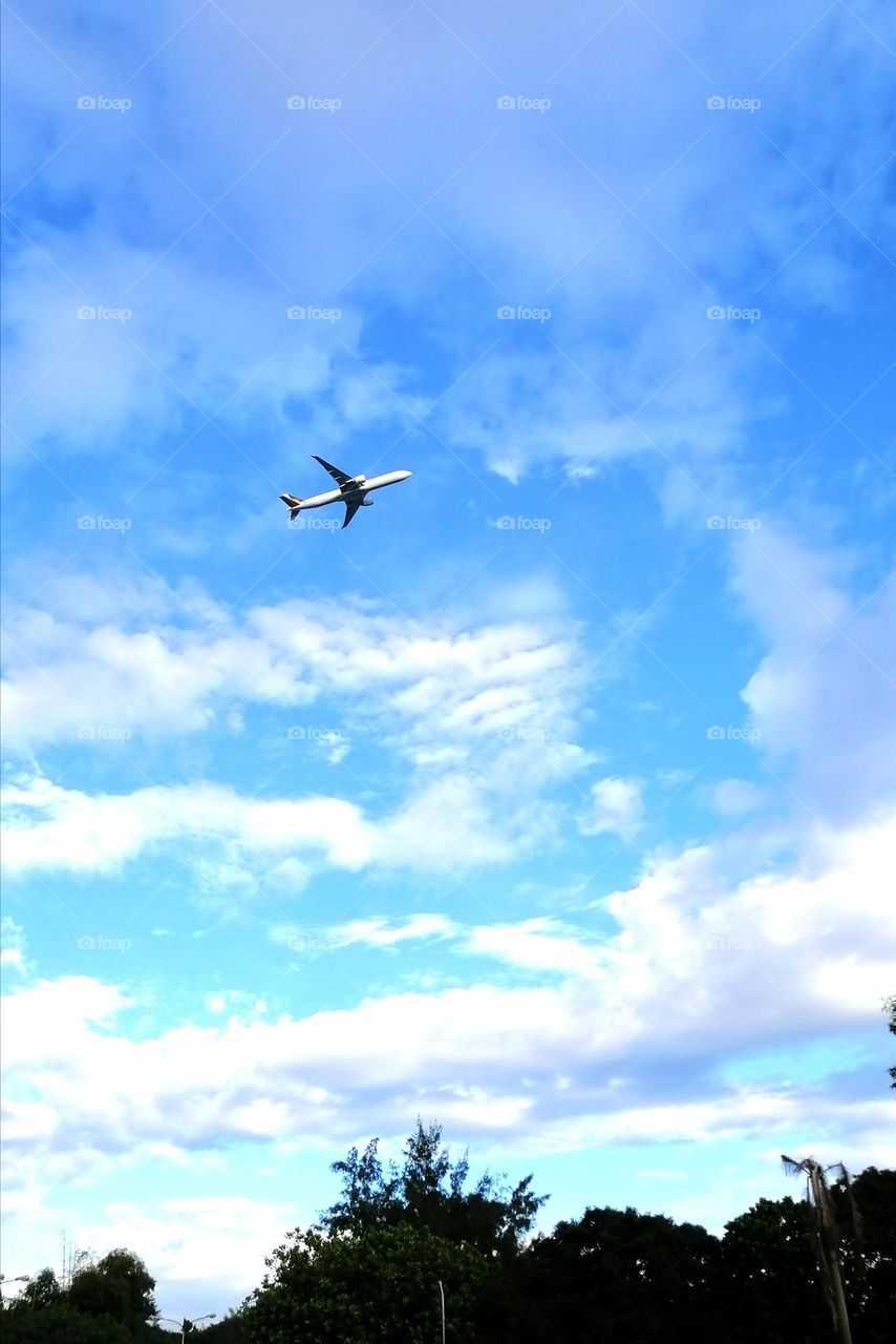 Fly high, soar high my love.