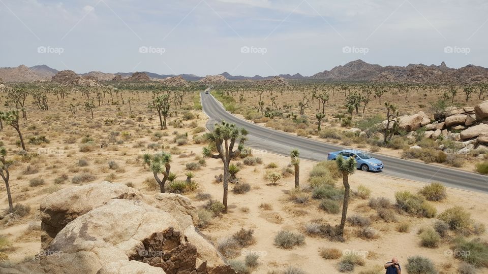 a beautiful shot of the typical landscape in Joshua Tree Park (with a road going through it)
