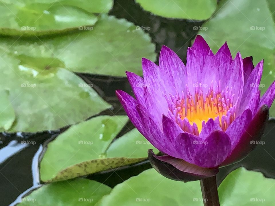 The signs of  the nature, Countryside ( Thailand)