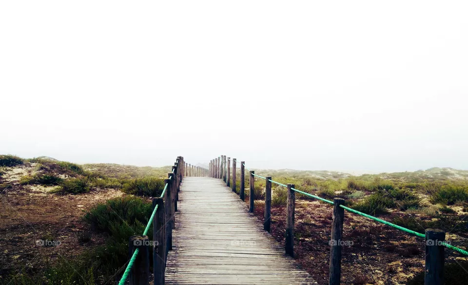 walk in the fog
