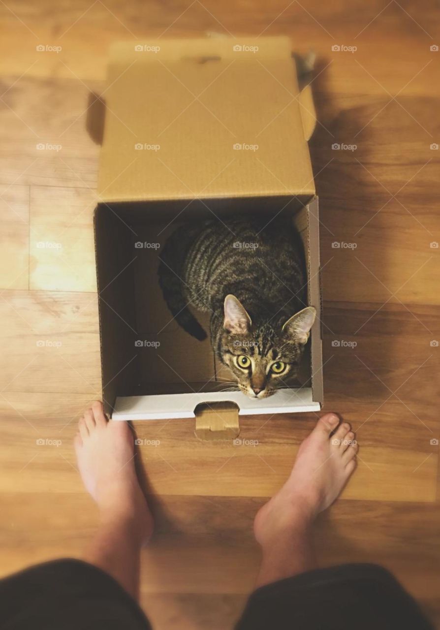 Curiosity in a Box