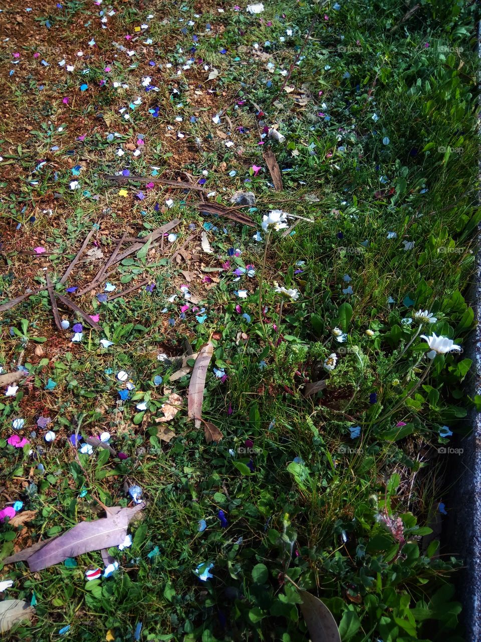 Leftovers from carnival