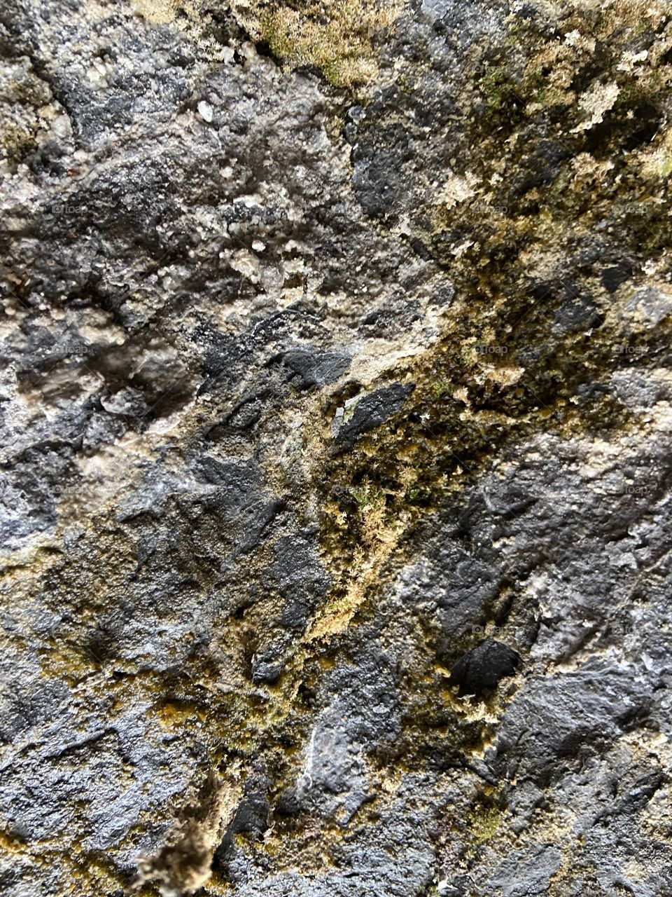 Mossy rock