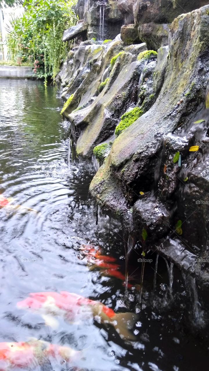 Water fall on the park