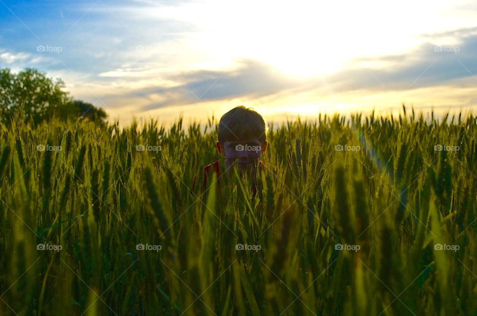 Farmyard boy. Taking a picture of my little brother in a wheat field . 