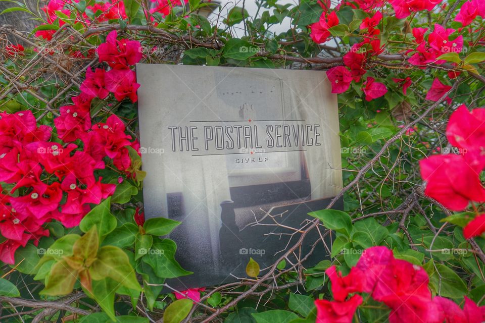 postal service outside