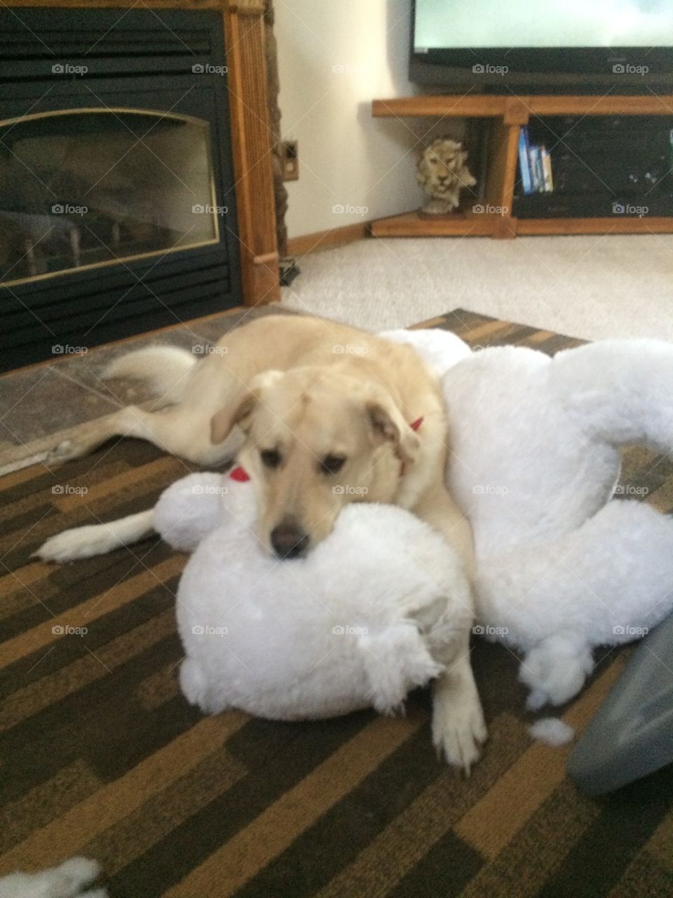 Samson and his giant bear