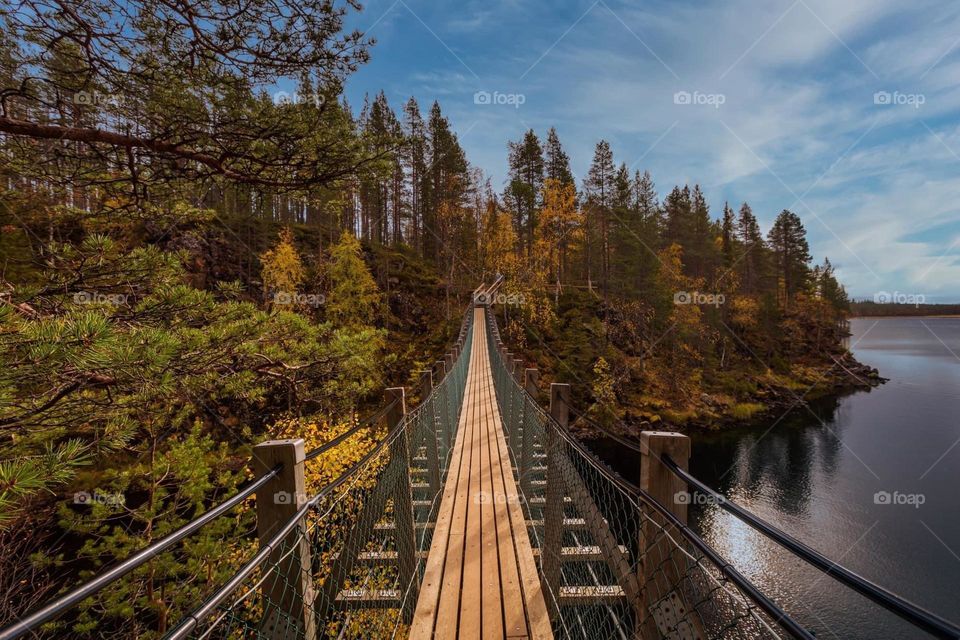 Finlandia una tarde de Verano 