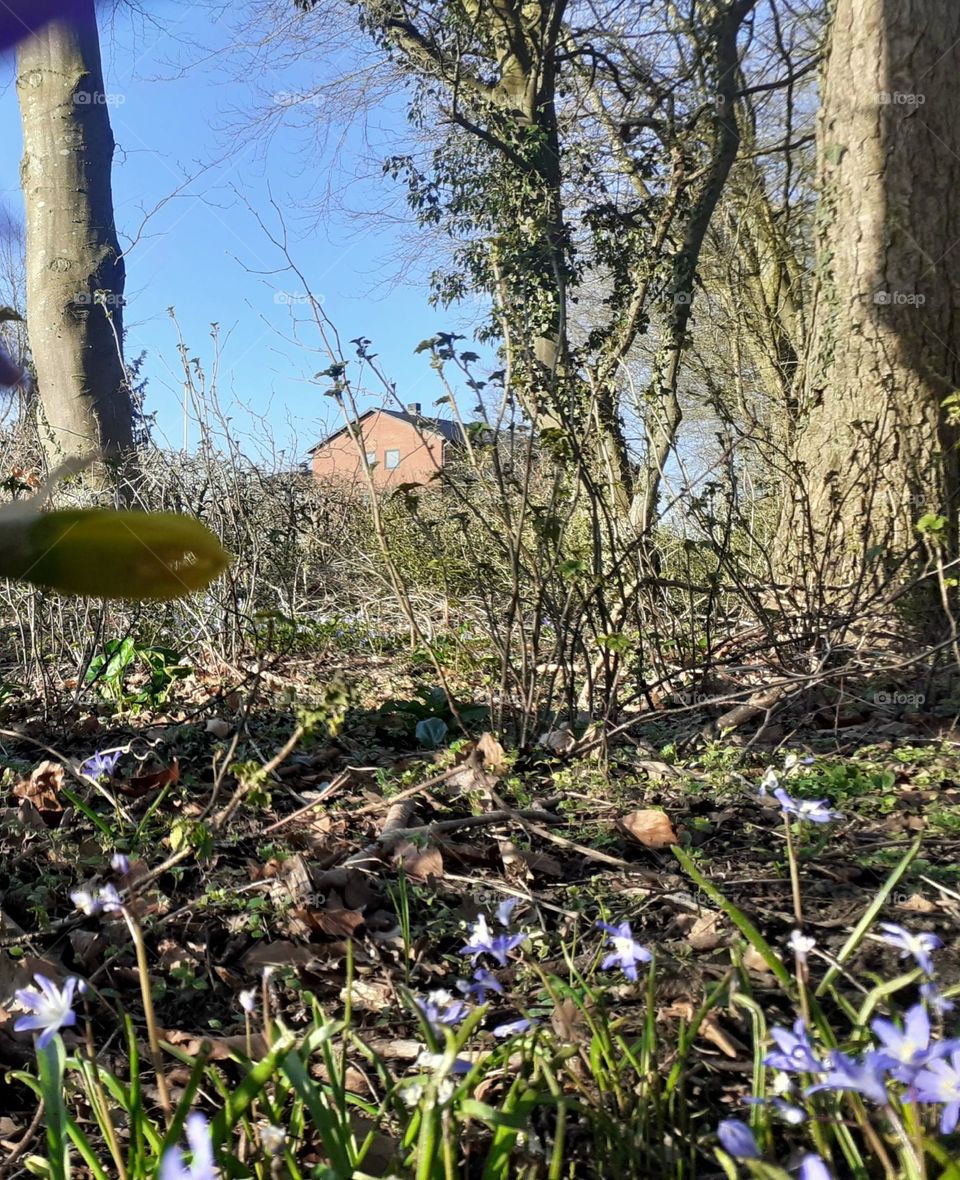 at the end of the city in silence