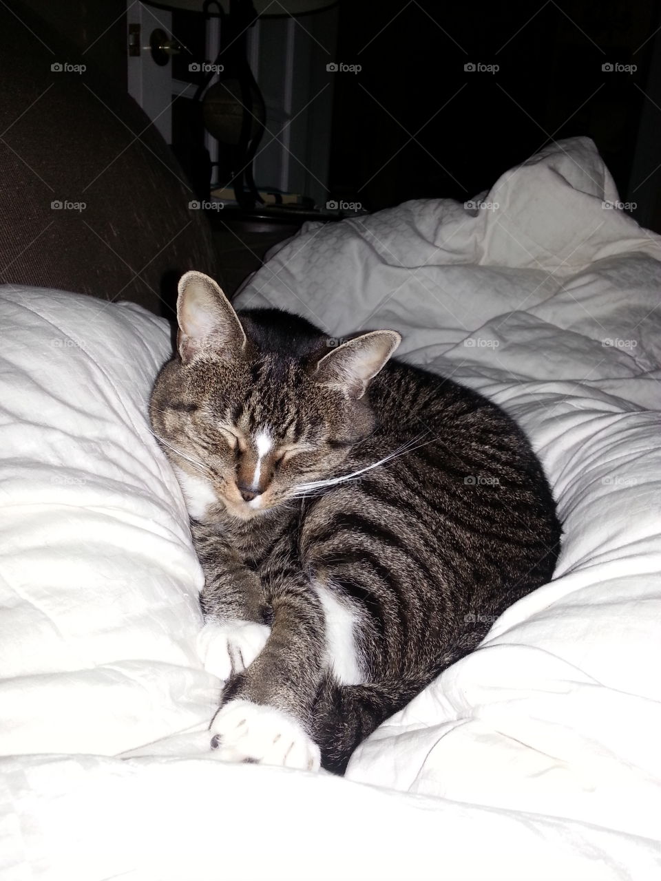 doing what she does best