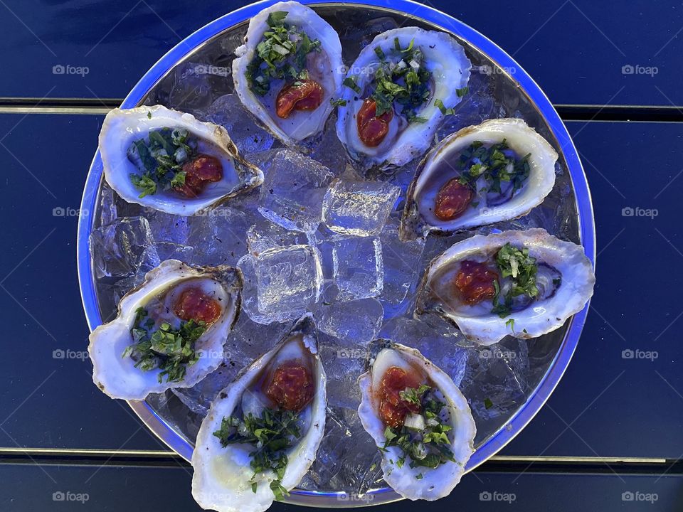 Oysters