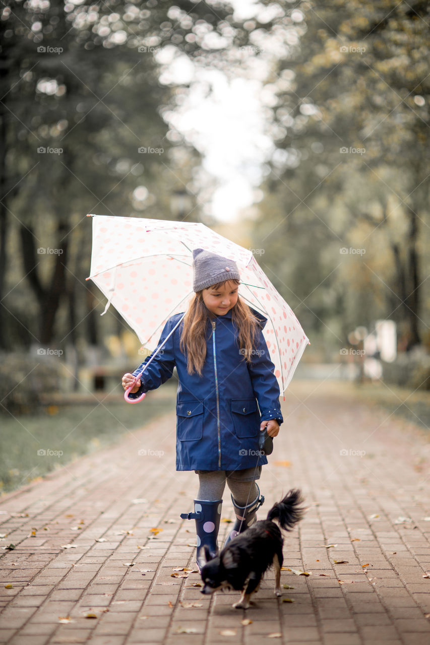 Little girl with umbrella in waterproof boots walking with chihuahua dog 