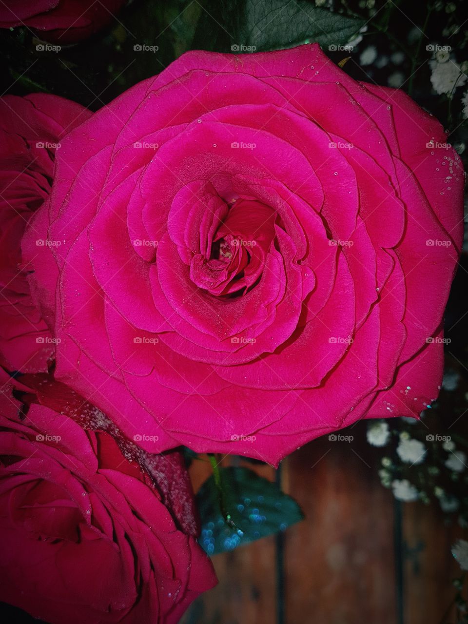 Love is in the air ...